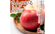 ＜ジューシーな甘さ＞サンつがる 5kg 1セット【1780247】