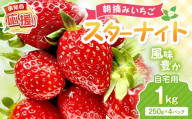 【2027年1月～2027年4月発送予定】【自宅用】朝摘みいちご スターナイト 1kg【配送不可地域：北海道・沖縄・離島】【117E-006-2027】