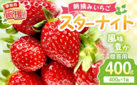 【2027年1月～2027年4月発送予定】【贈答用】朝摘みいちご スターナイト 400g【配送不可地域：北海道・沖縄・離島】【117D-011-2027】