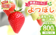 【2027年1月～2027年4月発送予定】【贈答用】朝摘みいちご よつぼし 800g【配送不可地域：北海道・沖縄・離島】【117D-015-2027】