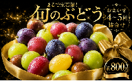 ぶどう 4~5種 プレミアムミックス 約800g ｜ おまかせ シャインマスカット 巨峰 ゴールドフィンガー ナガノパープル 雄宝 クイーンセブン クイーンニーナ マスカットノワール  珍しい 品種 果物  葡萄 茨城県産  農家直送 新鮮  茨城県 筑西市 関東