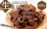 ≪2027年先行予約≫山形県 戸沢村産 生きくらげ 100g 2027年7月上旬から順次発送 国産 木耳 キクラゲ 茸 きのこ 中華 料理 食品 自宅 家庭 F7W-0512