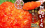 【2026年11月以降順次発送】 新物 天然紅鮭いくら 醤油漬け 250g いくら イクラ 訳あり 規格外 小分け 個包装 冷凍 海鮮 海鮮丼 いくら丼 イクラ丼 醤油いくら 訳アリ 人気 年末年始 パック 北海道 釧路市