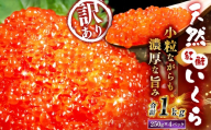 【 2026年11月以降順次発送 】 新物 天然紅鮭いくら 醤油漬け 1kg （ 250g × 4 ）　いくら イクラ 海鮮 天然紅鮭 魚卵 卵 イクラ丼 いくら丼 手巻き寿司 小粒 魚介類 魚介 寿司 丼 冷凍 旨味