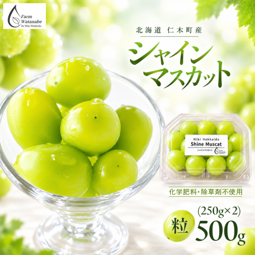 【2026年産】北海道 仁木町産 シャインマスカット 粒 500g (250g×2) 化学肥料・除草剤不使用 ぶどう フルーツ 果物 くだもの [Farm Watanabe] 2810435 - 北海道仁木町