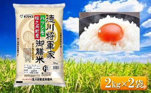 7年産 岐阜県産 ハツシモ （徳川将軍家御膳米） 2kg×2袋  米 コメ 精米 白米 大粒 おいしい ごはん おにぎり お弁当 岐阜県 輪之内町 2810474 - 岐阜県輪之内町