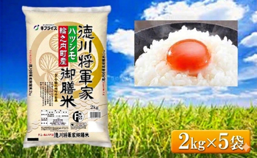 7年産 岐阜県産 ハツシモ （徳川将軍家御膳米） 2kg×5袋  米 コメ 精米 白米 大粒 おいしい ごはん おにぎり お弁当 岐阜県 輪之内町 2810476 - 岐阜県輪之内町