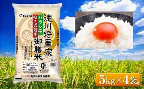 7年産 岐阜県産 ハツシモ （徳川将軍家御膳米） 5kg×4袋  米 コメ 精米 白米 大粒 おいしい ごはん おにぎり お弁当 岐阜県 輪之内町 2810478 - 岐阜県輪之内町