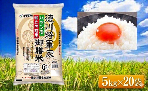 7年産 岐阜県産 ハツシモ （徳川将軍家御膳米） 5kg×20袋 10個口でお届け  米 コメ 精米 白米 大粒 おいしい ごはん おにぎり お弁当 岐阜県 輪之内町 2810479 - 岐阜県輪之内町