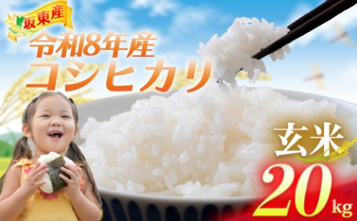 【令和8年産】茨城県坂東産　コシヒカリ20kg（玄米） ／ コシヒカリ こしひかり 米 お米 令和8年産 玄米 20kg 国産米 茨城米 粘り 旨み 炊き上がり ご飯 No.925 2810687 - 茨城県坂東市