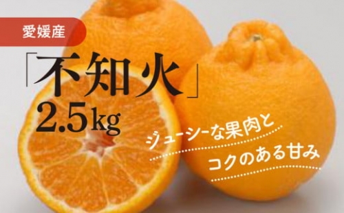不知火（生果2.5kg）≪柑橘 愛媛県産 フルーツ 果物≫ ※2023年2月上旬頃～下旬頃に順次発送予定 ※離島への配送不可