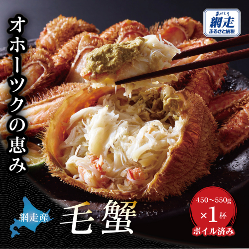 【網走産】オホーツクの恵み 毛蟹 450〜550g × 1杯｜ボイル済み 冷凍 毛ガニ 北海道 ABBI014 2810709 - 北海道網走市