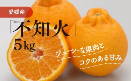 不知火（生果5kg）≪柑橘 愛媛県産 フルーツ 果物≫ ※2023年2月上旬頃～下旬頃に順次発送予定 ※離島への配送不可