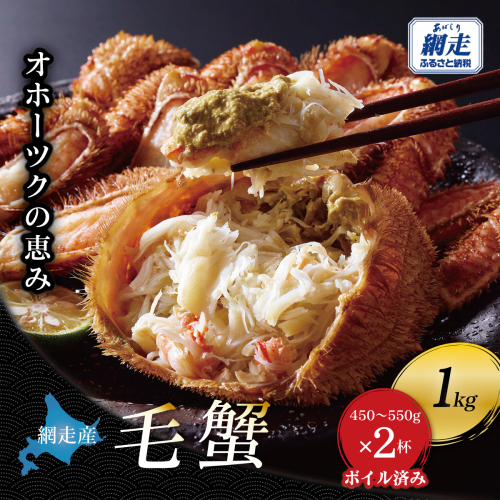 【網走産】オホーツクの恵み 毛蟹 約1kg（450〜550g × 2杯）｜ボイル済み 冷凍 毛ガニ 北海道 ABBI015 2810711 - 北海道網走市