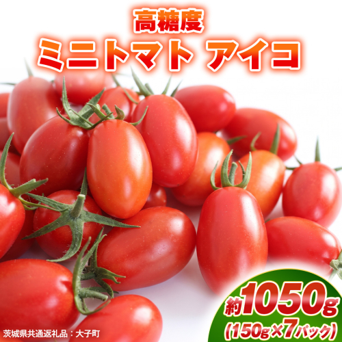 高糖度 ミニトマト アイコ 約1050g (150g×7パック)  ( 茨城県共通返礼品：大子町 ) ミニトマト ぷちトマト 高糖度 甘い 新鮮 野菜 サラダ 弁当 リコピン 農家直送 産地直送 [FC208us] 2810714 - 茨城県牛久市