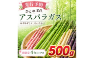【先行予約】春限定 ひとめぼれアスパラガス 500g 4色 食べ比べ グリーン パープル ピンク ホワイト 産地直送 農家直送 野菜 新鮮 旬 アスパラ 春野菜 サラダ カラフル バーベキュー BBQ おすそ分け ファミリー
