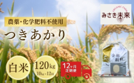 【12か月定期便】つきあかり 白米 120kg (10kg×12回) 令和8年産 | 無農薬 農薬不使用 化学肥料不使用 精米 お米 米 こめ コメ 福島産 福島県産 南相馬市 みさき未来 つきあかり