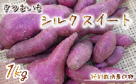 【予約受付】 26年度 さつまいも シルクスイート 1kg 特別栽培 産地直送 農家直送 富士山 湧水 で つくる 野菜 美味しい 旬 お野菜 新鮮 静岡県 沼津市 やまひろ農園