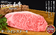 肉 和牛 サーロインステーキ 250g 焼肉 ステーキ にいがた和牛 黒毛和牛 牛肉 ギフト 贈答用 グルメ お取り寄せ 新発田市産 ごちそう 精肉 新潟県 新発田市 yoneichi013