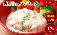 【レンジ対応可】 近江牛 入り ハンバーグまろやかやさしいクリームシチュー 12個×3回 3ヶ月定期便 岡喜