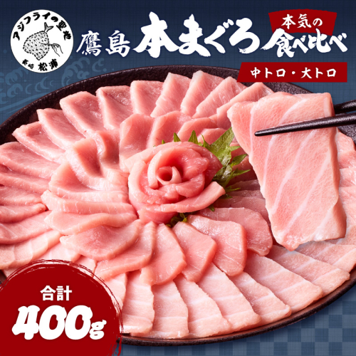鷹島本まぐろ柵(中トロ・大トロ) 合わせて400g ( 本まぐろ まぐろ 鷹島本まぐろ マグロ まぐろ柵 中トロ 大トロ )【134-0001】 2811429 - 長崎県松浦市