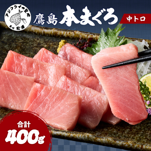 鷹島本まぐろ柵(中トロ)400g ( 本まぐろ まぐろ 鷹島本まぐろ マグロ まぐろ柵 中トロ )【134-0002】 2811430 - 長崎県松浦市