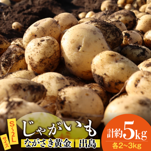 AK077 じゃがいも ながさき黄金 出島 じゃがいも食べ比べセット 計5kg [ 野菜 芋 ジャガイモ じゃがいも 5キロ ほくほく 国産 常備野菜 合同会社YT 長崎県 島原市 ] 2811436 - 長崎県島原市