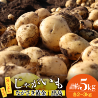 AK077 じゃがいも ながさき黄金 出島 じゃがいも食べ比べセット 計5kg [ 野菜 芋 ジャガイモ じゃがいも 5キロ ほくほく 国産 常備野菜 合同会社YT 長崎県 島原市 ]