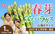 《2027年2月中旬発送》春芽アスパラガス 約1kg （約200g×5袋） 先行受付 アスパラ あすぱら グリーンアスパラ 春芽 甘い 新鮮 野菜 サラダ ソテー ヘルシー 旬 春 ギフト 贈答用 広島県三原市 081002