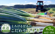 [先行予約]とれたて直送 角田市産!とろける甘みの「こだわり長ネギ」 約3kg (約12本〜18本)[11月上旬以降発送]| 新鮮 産地直送