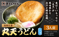 資さん丸天うどん （ 3人前 ） うどん 麺 ソウルフード おかず お惣菜 昼食 夕食 夜食 軽食 簡単調理 時短 トッピング 出汁 濃縮つゆ 冷凍