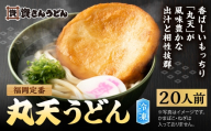 資さん丸天うどん （ 20人前 ） うどん 麺 ソウルフード おかず お惣菜 昼食 夕食 夜食 軽食 簡単調理 時短 トッピング 出汁 濃縮つゆ 冷凍