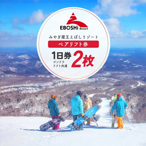 みやぎ蔵王えぼしリゾート ペアリフト券パック　【04301-0060】 2812166 - 宮城県蔵王町