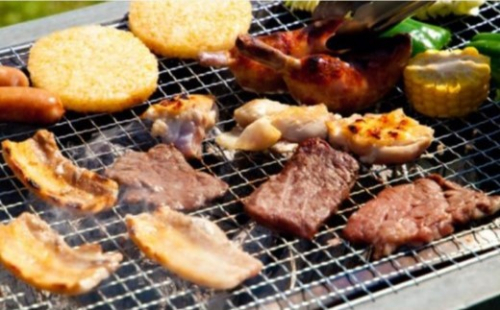 日帰り手ぶらでBBQ アラバキ食材セット付 体験コース（フリーサイト）　【04324-0153】 2812233 - 宮城県川崎町