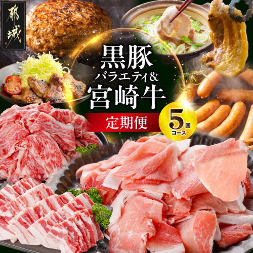 【5回定期便】選んで損なし!黒豚バラエティ&宮崎牛定期便〔TAA5-5-N4-012〕 2812249 - 宮崎県都城市
