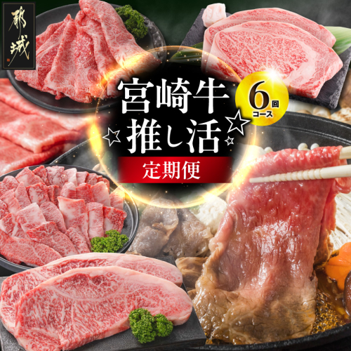 【6回定期便】宮崎牛☆推し活☆〔TAC6-6-N4-013〕 2812251 - 宮崎県都城市