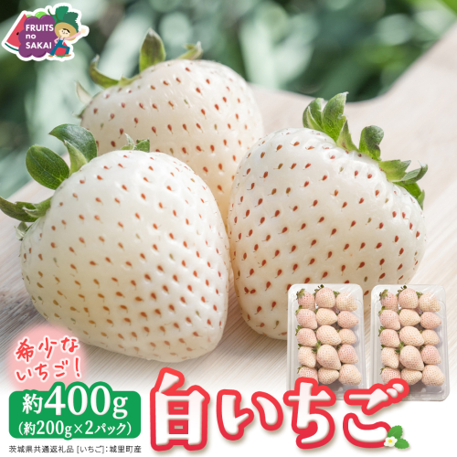 白いちご 約200g（15～18粒）×2パック【2027年1月から発送開始】（茨城県共通返礼品 [いちご]：城里町産） 茨城県 県産 人気 厳選 果物 くだもの 旬 旬の果物 旬のフルーツ フルーツ ギフト 贈答 いちご イチゴ 苺 白いちご [FC89-NT] 2812399 - 茨城県つくばみらい市