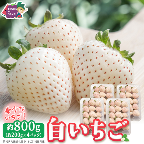 白いちご 約200g（15～18粒）×4パック【2027年1月から発送開始】（茨城県共通返礼品 [いちご]：城里町産） 茨城県 県産 人気 厳選 果物 くだもの 旬 旬の果物 旬のフルーツ フルーツ ギフト 贈答 いちご イチゴ 苺 白いちご [FC90-NT] 2812403 - 茨城県つくばみらい市