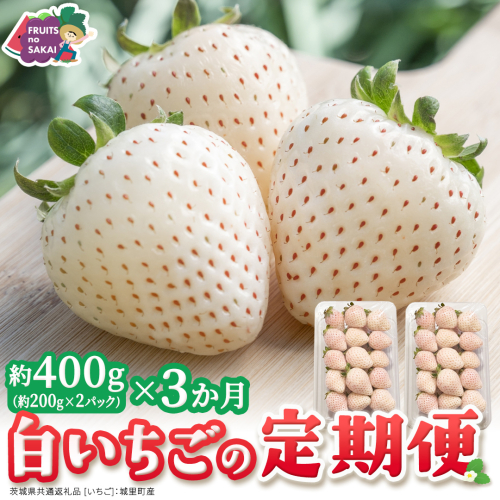 【定期便】白いちご 約200g×2パック 3ヶ月連続お届け便【2027年1月から発送開始】（茨城県共通返礼品 [いちご]：城里町産） 茨城県 県産 人気 厳選 果物 くだもの 旬 旬の果物 旬のフルーツ フルーツ ギフト 贈答 いちご イチゴ 苺 白いちご [FC91-NT] 2812406 - 茨城県つくばみらい市