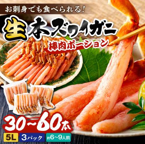 鮮度抜群！お刺身でも食べられる！生本ズワイガニ棒肉ポーション（特大）　3パック  2812407 - 京都府京丹後市
