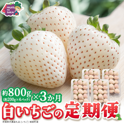 【定期便】白いちご 約200g×4パック 3ヶ月連続お届け便【2027年1月から発送開始】（茨城県共通返礼品 [いちご]：城里町産） 茨城県 県産 人気 厳選 果物 くだもの 旬 旬の果物 旬のフルーツ フルーツ ギフト 贈答 いちご イチゴ 苺 白いちご [FC92-NT] 2812408 - 茨城県つくばみらい市