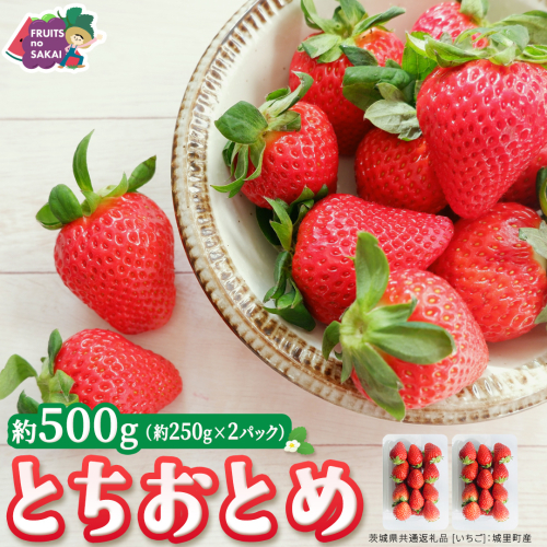 とちおとめ 約250g（15～18粒）×2パック【2026年12月から発送開始】（茨城県共通返礼品 [いちご]：城里町産） 茨城県 県産 人気 厳選 果物 くだもの 旬 旬の果物 旬のフルーツ ギフト 贈答 いちご イチゴ 苺 とちおとめ [FC93-NT] 2812411 - 茨城県つくばみらい市