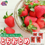 とちおとめ 約250g（15～18粒）×4パック【2026年12月から発送開始】（茨城県共通返礼品 [いちご]：城里町産） 茨城県 県産 人気 厳選 果物 くだもの 旬 旬の果物 旬のフルーツ ギフト 贈答 いちご イチゴ 苺 とちおとめ [FC94-NT]
