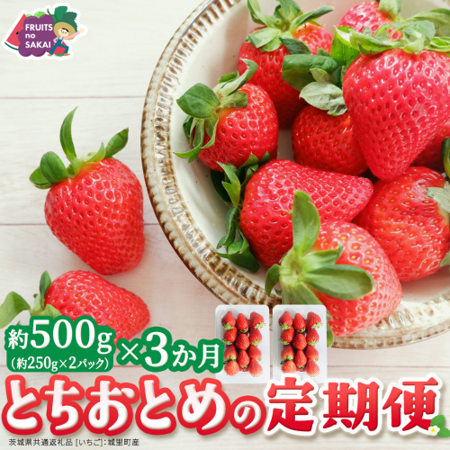 【定期便】とちおとめ 約250g（15～18粒）×2パック 3ヶ月連続お届け便【2026年12月から発送開始】（茨城県共通返礼品 [いちご]：城里町産） 茨城県 県産 人気 厳選 果物 くだもの 旬 旬の果物 旬のフルーツ ギフト 贈答 いちご イチゴ 苺 とちおとめ [FC95-NT] 2812413 - 茨城県つくばみらい市