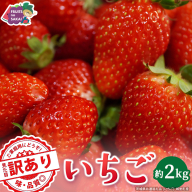 ＜ 訳あり ＞いちご 約2kg【2027年1月から発送開始】（茨城県共通返礼品 [いちご]：城里町産） いちご イチゴ 苺 訳あり 不揃い 家庭用 大容量 お得 ふるさと納税 [FC98-NT]