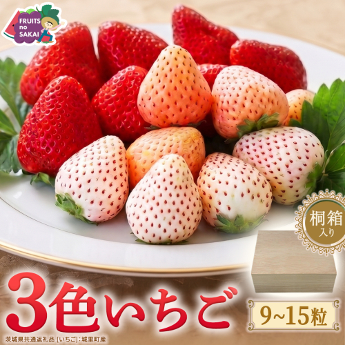 【桐箱入り】3色いちご 9～15粒 【2027年1月から発送開始】（茨城県共通返礼品 [いちご]：城里町産） いちご イチゴ 苺  甘い 国産 人気 桐箱 贈答 贈り物 ギフト ふるさと納税 [FC102-NT] 2812457 - 茨城県つくばみらい市