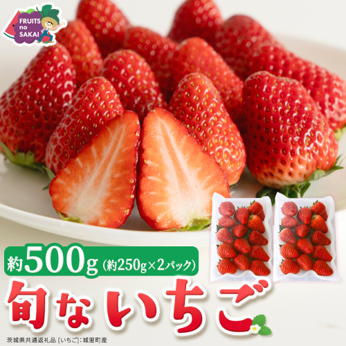 旬ないちご品種おまかせ（約250g×2パック）【2027年1月から発送開始】（茨城県共通返礼品 [いちご]：城里町産） 果物 くだもの フルーツ イチゴ 苺 旬 品種おまかせ 人気 [FC103-NT] 2812458 - 茨城県つくばみらい市