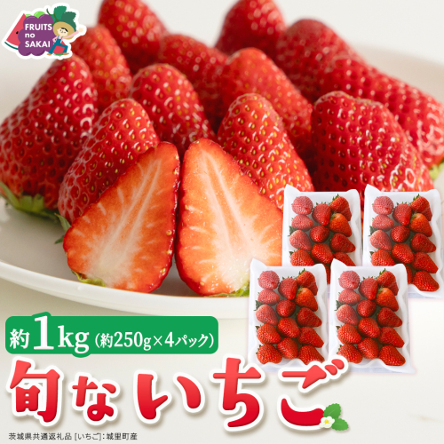 旬ないちご品種おまかせ（約250g×4パック）【2027年1月から発送開始】（茨城県共通返礼品 [いちご]：城里町産） 果物 くだもの フルーツ イチゴ 苺 旬 品種おまかせ 人気 [FC104-NT] 2812459 - 茨城県つくばみらい市