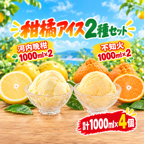 柑橘アイス2種セット 1000ml×各2個(計4個)【 不知火 】【河内晩柑】 冷凍 みかん 旬 農家直送 特産品 さっぱり 大人 旨味 アイス ジェラート シャーベット ソルベ アイスクリーム ランキング 人気 業務用 大容量 ホームタイプアイス ファミリーサイズ 家庭用 みかん 柑橘 かんきつ 不知火 デコポン ぽんかん 冷凍 冬 夏 みかん職人武田屋 愛媛県 愛南町 2812465 - 愛媛県愛南町