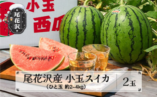 先行予約 尾花沢産小玉スイカ (約2~4kg)×2玉 7月中旬～8月上旬頃発送 令和7年産 2025年産 尾花沢産 スイカ すいか 西瓜 果物 くだもの フルーツ 観光物産 kb-sukxx2-7b